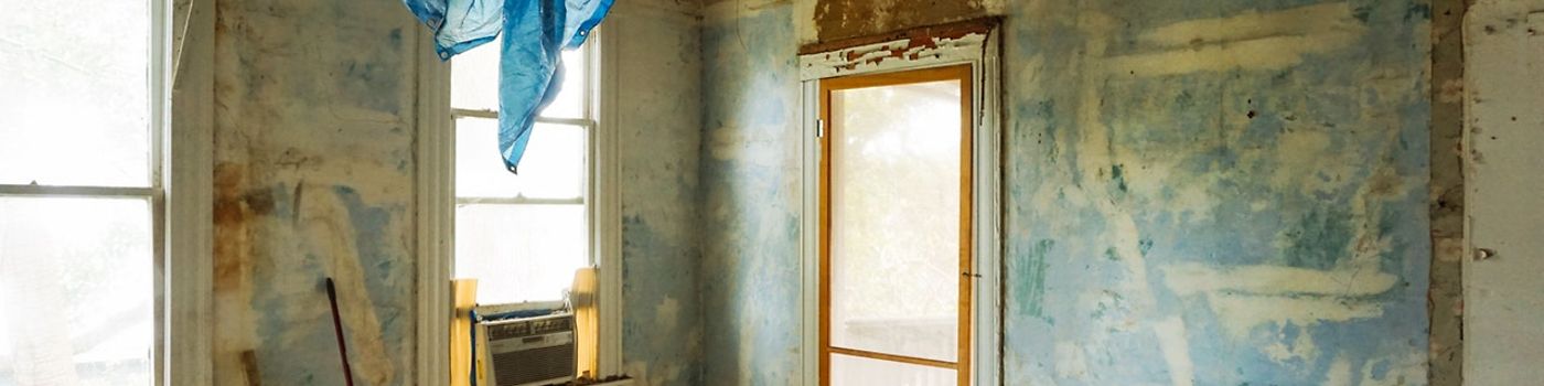 restoration and remediation
